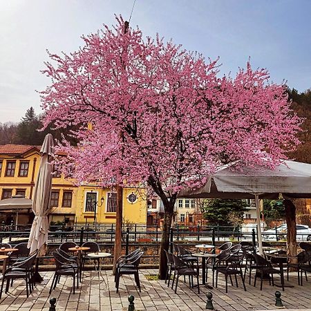 Center River Apartment Florina Bagian luar foto