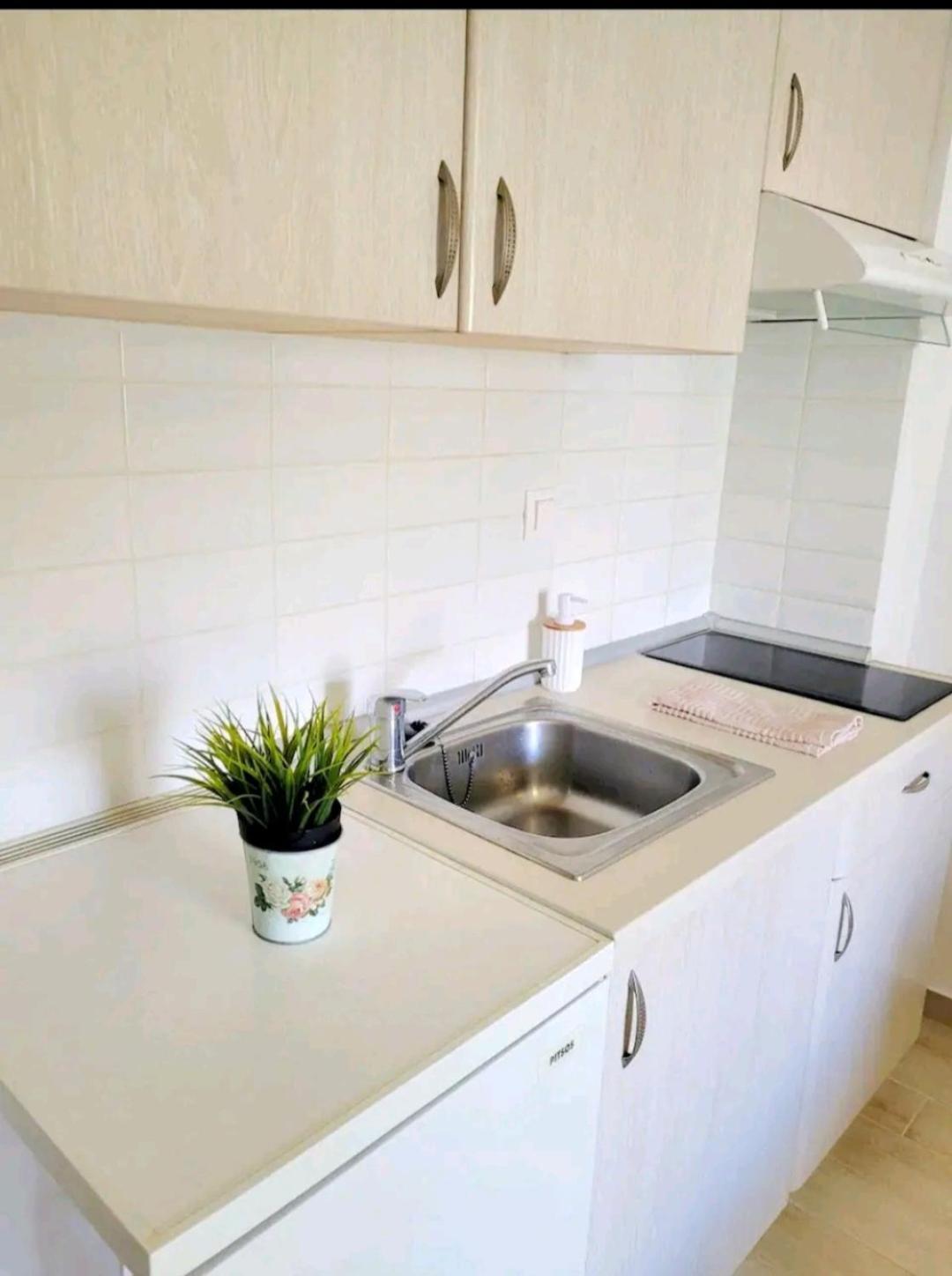 Center River Apartment Florina Bagian luar foto